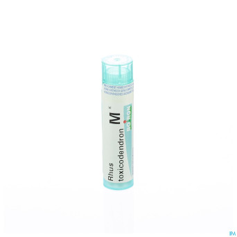 Rhus toxicodendron    mk gr 4g boiron