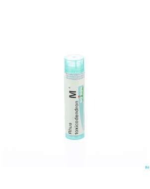 Rhus toxicodendron    mk gr 4g boiron