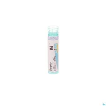 Sepia officinalis    mk gr 4g boiron