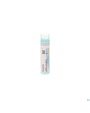 Sepia officinalis    mk gr 4g boiron