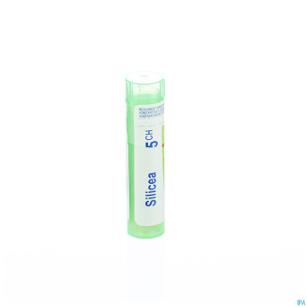 Silicea    5ch gr 4g boiron