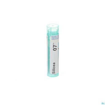 Silicea    7ch gr 4g boiron