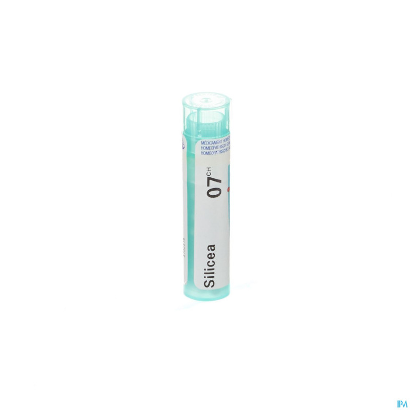 Silicea    7ch gr 4g boiron
