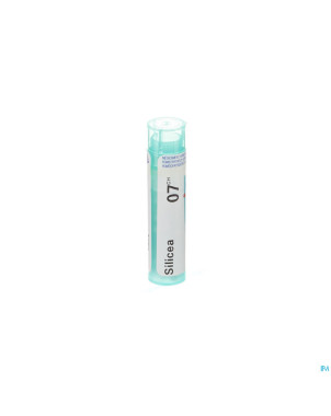 Silicea    7ch gr 4g boiron