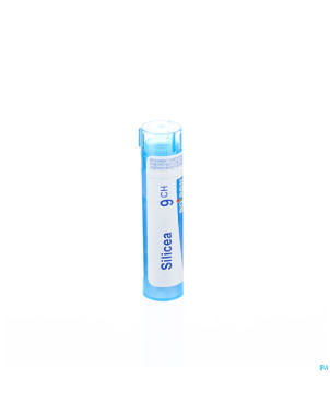Silicea    9ch gr 4g boiron