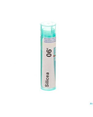 Silicea    6k gr 4g boiron