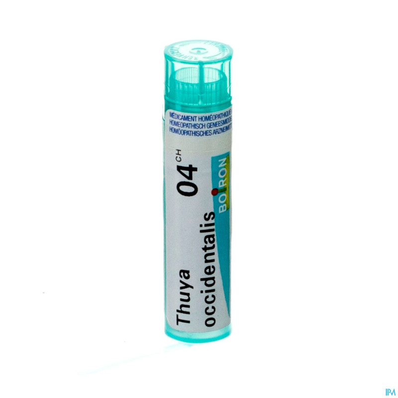 Thuya occidentalis    4ch gr 4g boiron