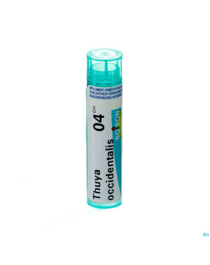 Thuya occidentalis    4ch gr 4g boiron