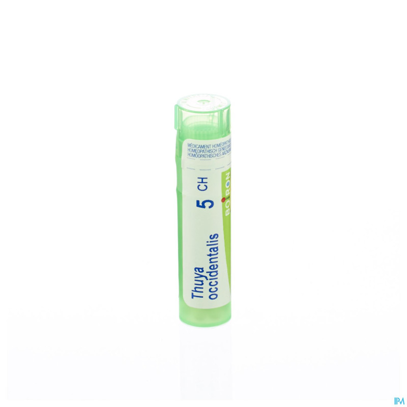 Thuya occidentalis    5ch gr 4g boiron