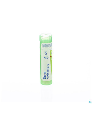 Thuya occidentalis    5ch gr 4g boiron