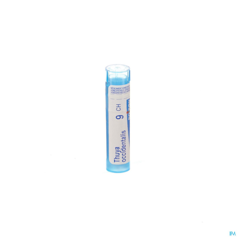 Thuya occidentalis    9ch gr 4g boiron