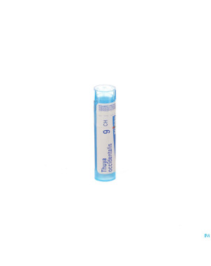 Thuya occidentalis    9ch gr 4g boiron