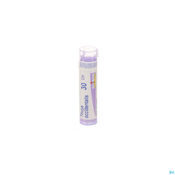 Thuya occidentalis    30ch gr 4g boiron