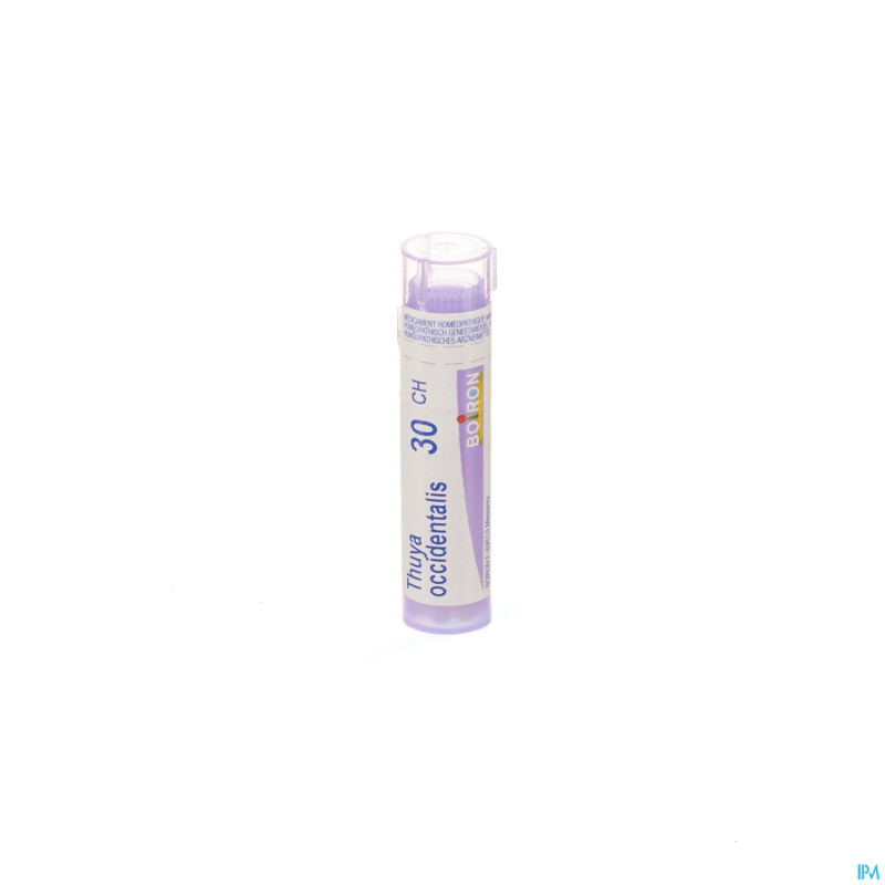 Thuya occidentalis    30ch gr 4g boiron