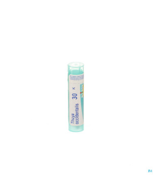 Thuya occidentalis    30k gr 4g boiron