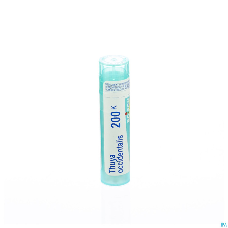 Thuya occidentalis    200k gr 4g boiron