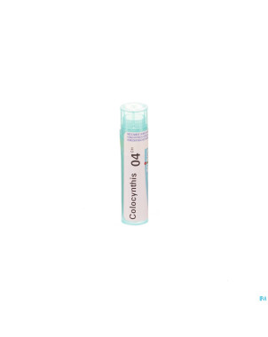 Colocynthis    4ch gr 4g boiron