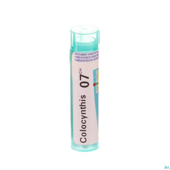 Colocynthis    7ch gr 4g boiron