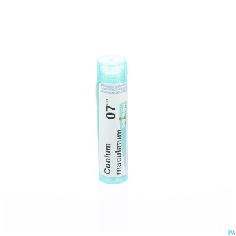 Conium maculatum    7ch gr 4g boiron