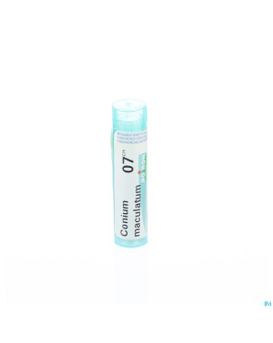 Conium maculatum    7ch gr 4g boiron