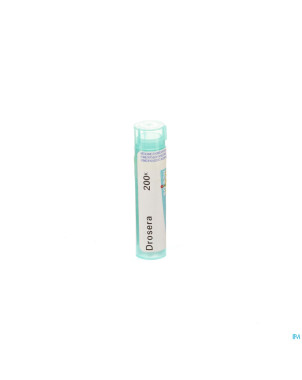 Drosera    200k gr 4g boiron