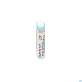 Echinacea angustifolia    30k gr 4g boiron