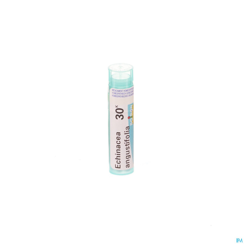 Echinacea angustifolia    30k gr 4g boiron