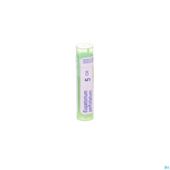 Eupatorium perfoliatum    5ch gr 4g boiron