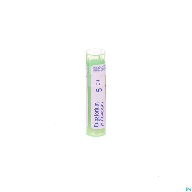Eupatorium perfoliatum    5ch gr 4g boiron