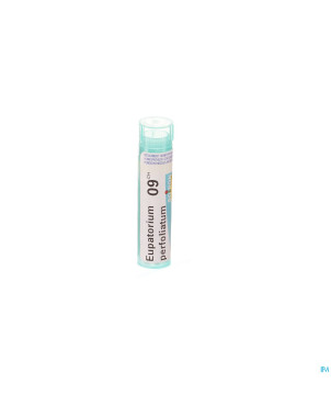 Eupatorium perfoliatum    9ch gr 4g boiron