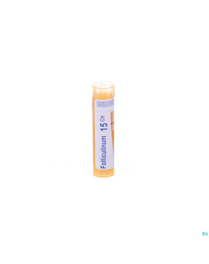 Folliculinum    15ch gr 4g boiron