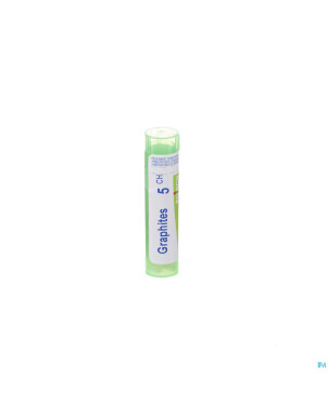 Graphites    5ch gr 4g boiron