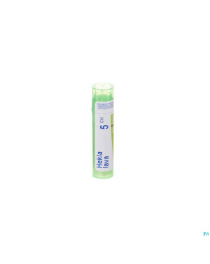 Hekla lava    5ch gr 4g boiron