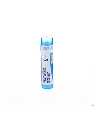 Hepar sulfuris calcareum    9ch gr 4g boiron