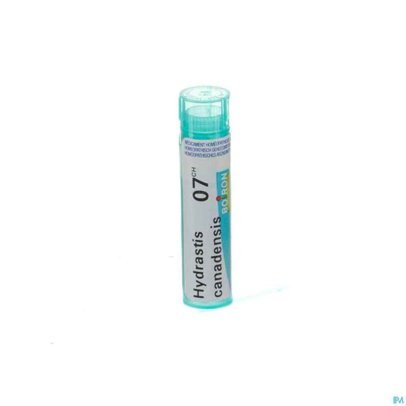 Hydrastis canadensis    7ch gr 4g boiron