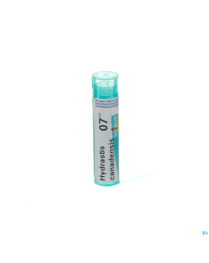 Hydrastis canadensis    7ch gr 4g boiron