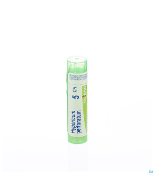 Hypericum perforatum    5ch gr 4g boiron