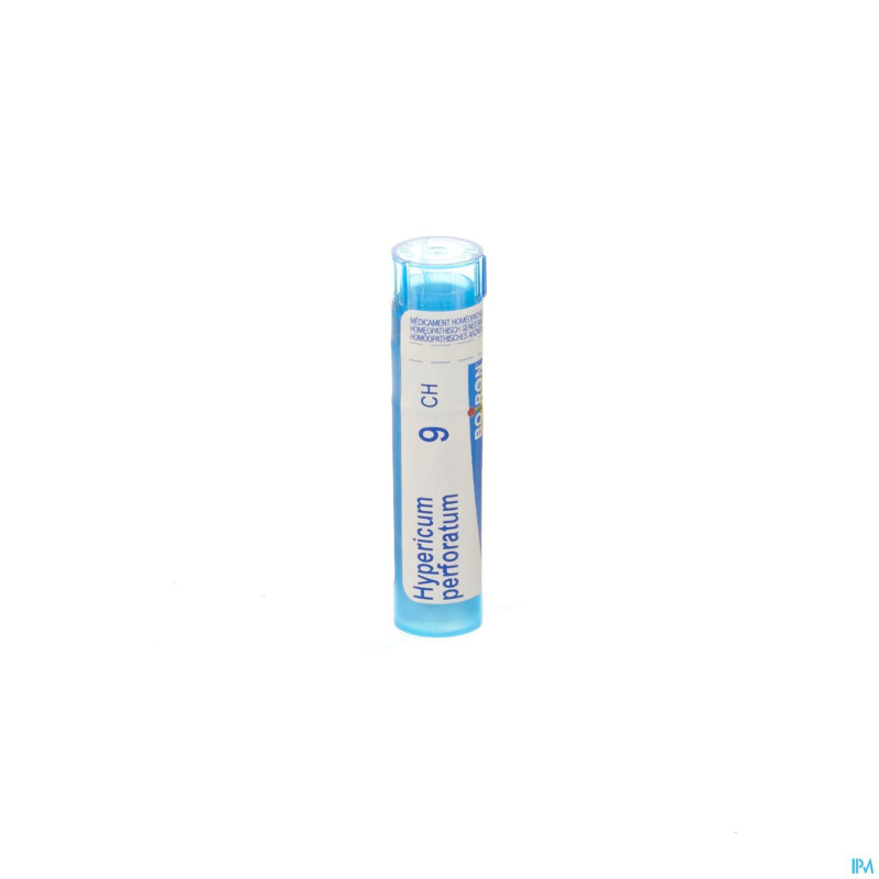 Hypericum perforatum    9ch gr 4g boiron