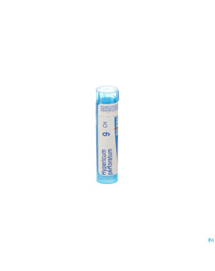 Hypericum perforatum    9ch gr 4g boiron