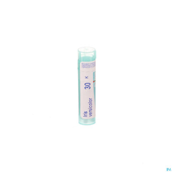 Iris versicolor    30k gr 4g boiron