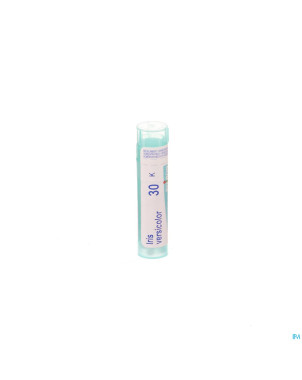 Iris versicolor    30k gr 4g boiron