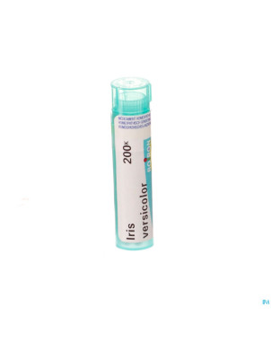 Iris versicolor    200k gr 4g boiron