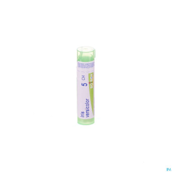 Iris versicolor    5ch gr 4g boiron