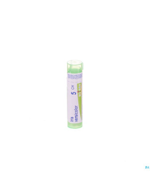 Iris versicolor    5ch gr 4g boiron