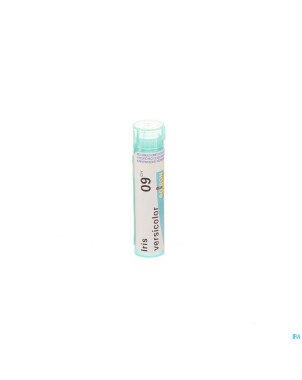 Iris versicolor    9ch gr 4g boiron
