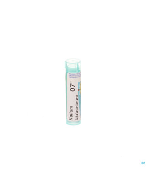 Kalium carbonicum    7ch gr 4g boiron
