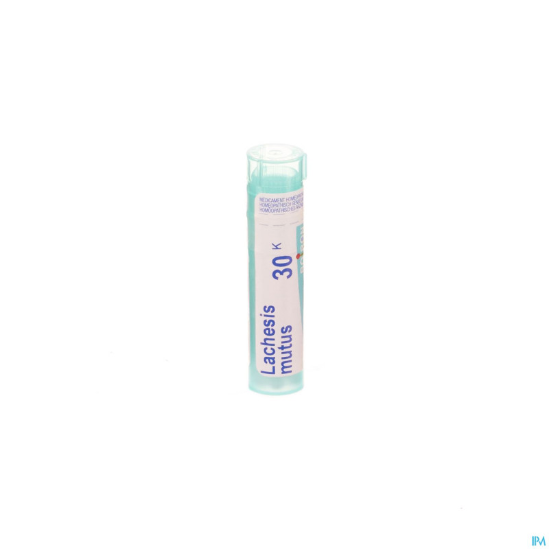 Lachesis mutus    30k gr 4g boiron