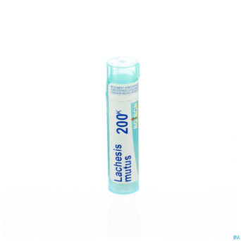 Lachesis mutus    200k gr 4g boiron