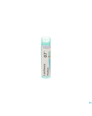 Lachesis mutus    7ch gr 4g boiron