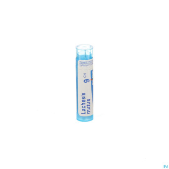 Lachesis mutus    9ch gr 4g boiron